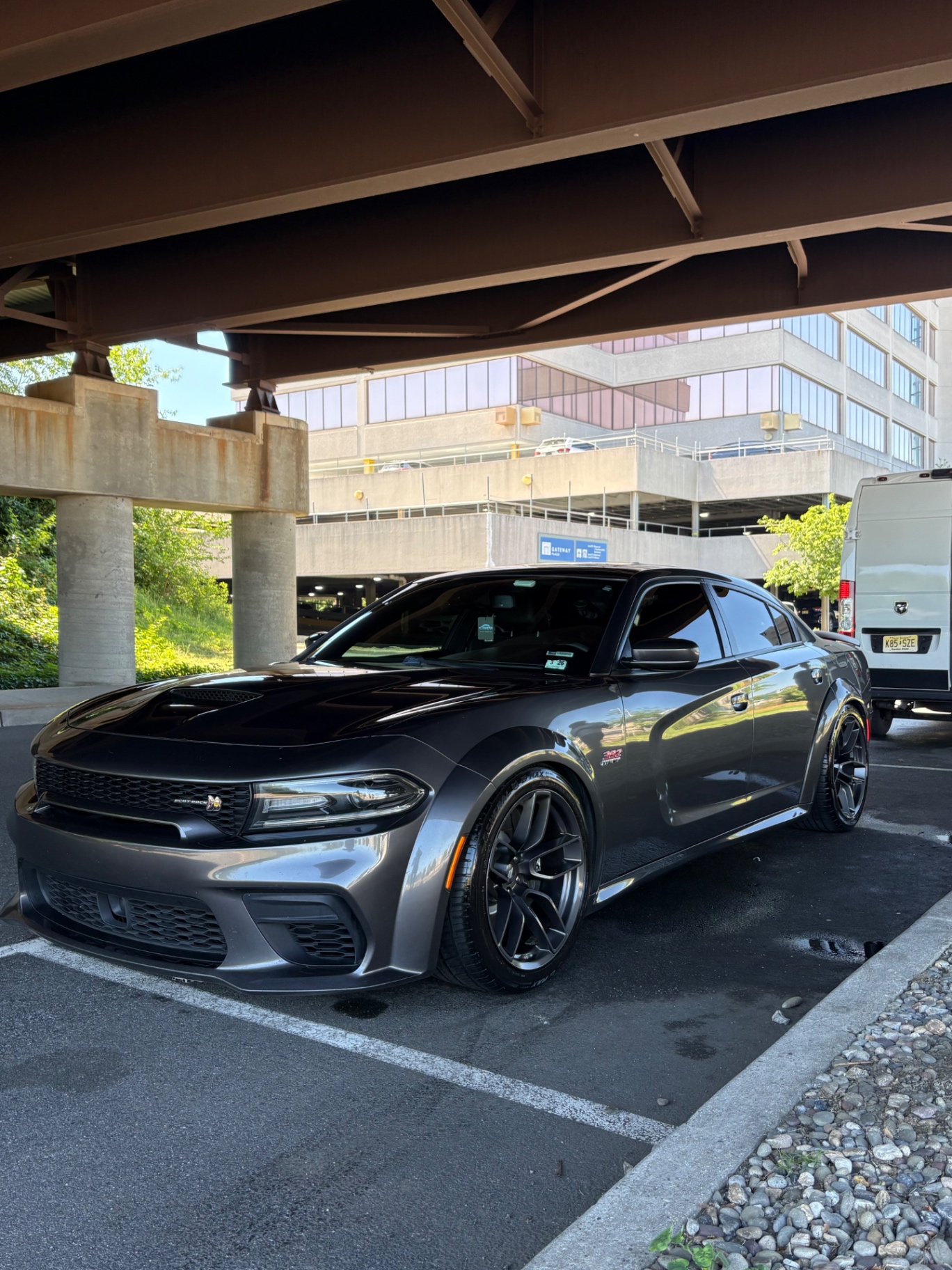 Dodge Charger Scat Pack — Full exterior detail by M3 Luxury Auto Spa